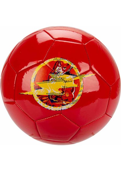 4 Adet Flash Futbol Topu No: 5 fiyatları