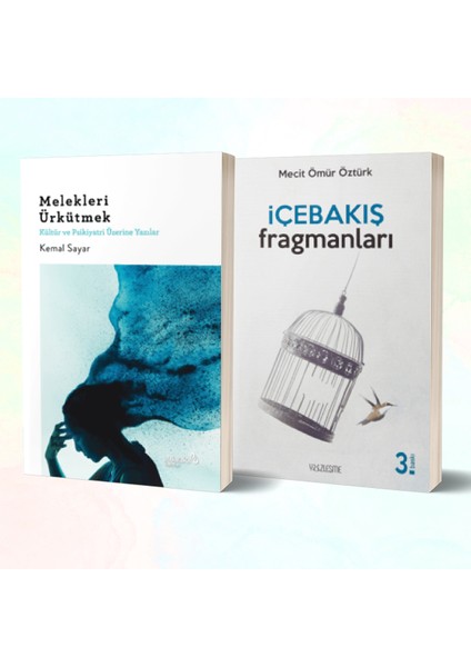 Melekleri Ürkütmek - Içebakış Fragmanları/mecit Ömür Öztürk