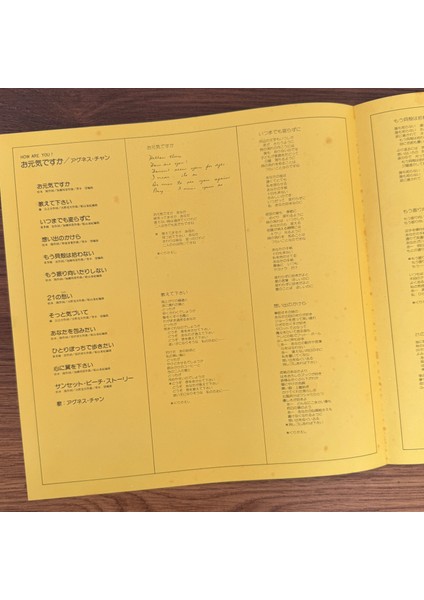 Agnes Chan – How Are You modelleri