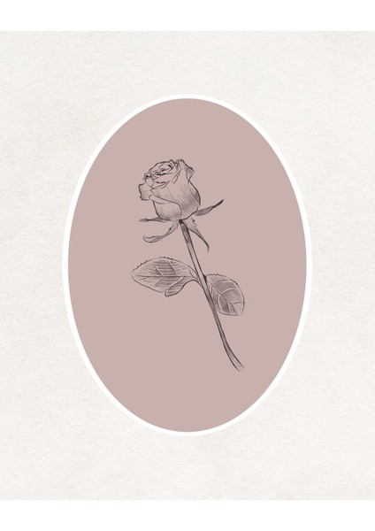 Vintage Tek Gül Dijital Baskı Vintage Poster (Çerçevesiz) fırsatları