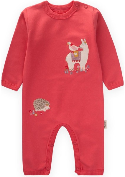 Tulum 0-3 Yaş Mercan