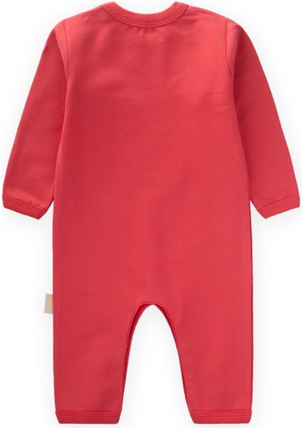 Tulum 0-3 Yaş Mercan fiyatları