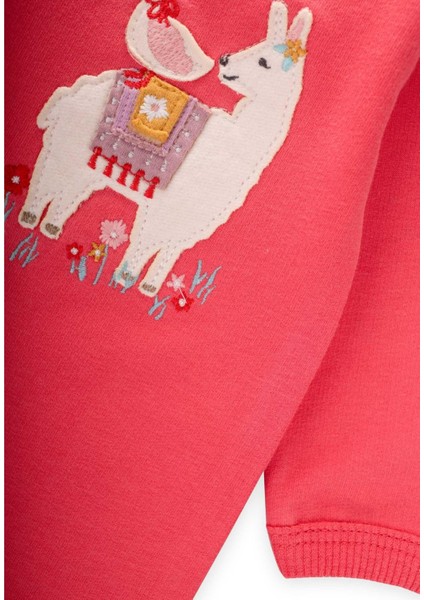 Tulum 0-3 Yaş Mercan modelleri