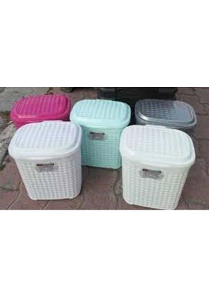 Petek Deterjanlık Kutusu Renkli 1 Adet ROYALEKS-MRD304