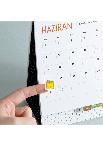 2026 Hisli Şeyler Takvimi & Çıkartma Albümü fiyatları