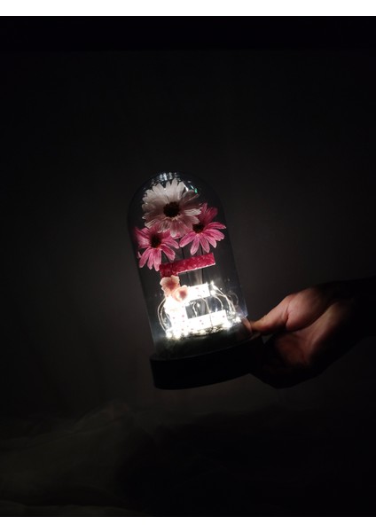 Dekoratif Ledli E Harfi, E Harfli Özel Ekinezya Çiçekli Teraryum Fanus, Hediyelik Fanus