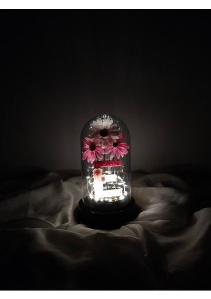 Dekoratif Ledli E Harfi, E Harfli Özel Ekinezya Çiçekli Teraryum Fanus, Hediyelik Fanus fiyatları