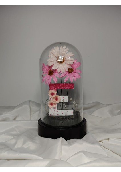 Dekoratif Ledli E Harfi, E Harfli Özel Ekinezya Çiçekli Teraryum Fanus, Hediyelik Fanus modelleri