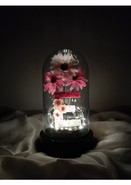 Dekoratif Ledli E Harfi, E Harfli Özel Ekinezya Çiçekli Teraryum Fanus, Hediyelik Fanus fırsatları