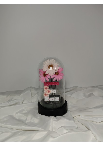 Dekoratif Ledli E Harfi, E Harfli Özel Ekinezya Çiçekli Teraryum Fanus, Hediyelik Fanus indirimleri