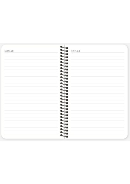 2026 Hisli Şeyler Takvimi & Bu Sene Benim Senem Ajanda Seti