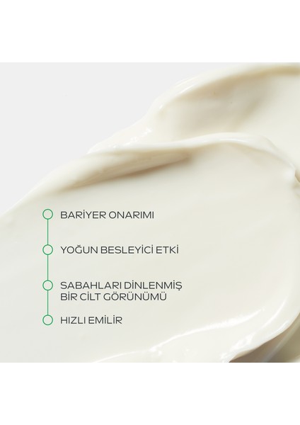 Skin Food Nourishing Gece Kremi 40ML fiyatları