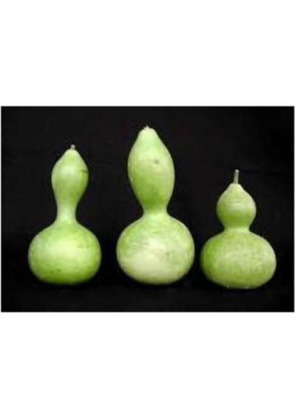 Nadir Süs Su Kabağı Kabak Tohumu 10'lu modelleri