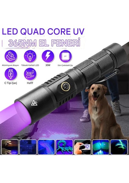 30W Uv Işık Feneri, 365NM Profesyonel Güçlü, Usb-C Şarjlı, Metal Gövde, Su Dayanıklı, Para Kontrol fırsatları