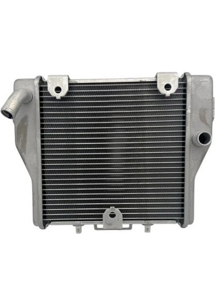 Honda Forza Radyatör 2021-2024 fiyatları