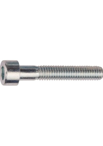 Bajaj Dominar Koruma Demir Civatası