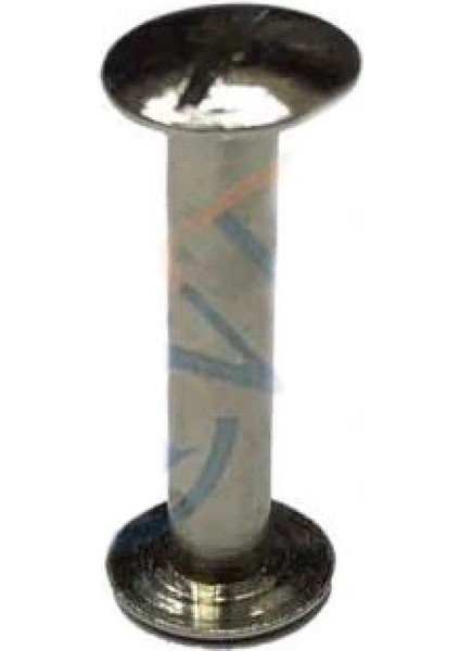 Cilt Menü, Katalog, Kartela Vidası, 20 mm - Nikel, 1 Adet