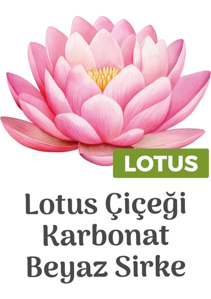 Easy Clean Lotus Çiçeği Yüzey Temizlik Havlusu 12X100 (1200 Yaprak) modelleri