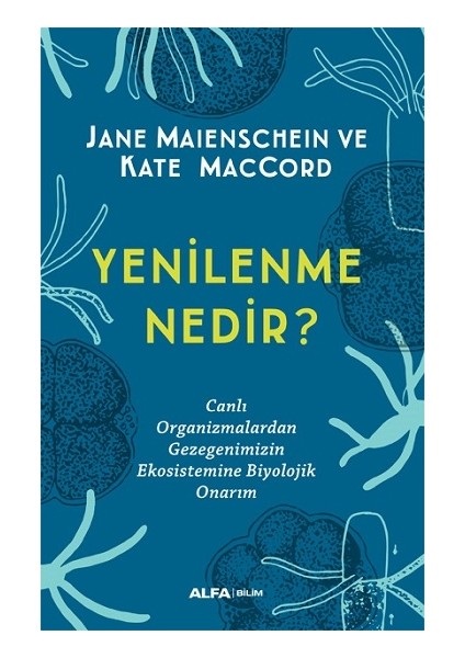 Yenilenme Nedir?