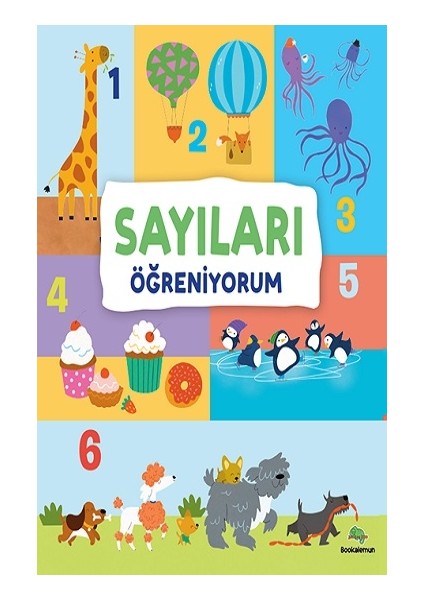 Sayıları Öğreniyorum (Ciltli)