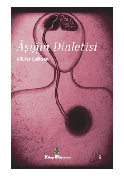 Aşığın Dinletisi