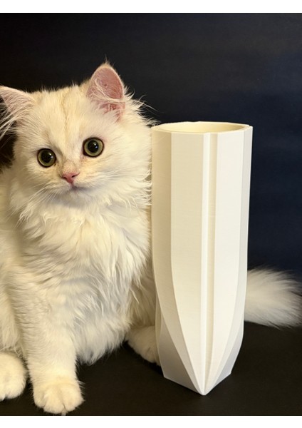 Venus – Estetik Dekoratif Vazo | Modern ve Minimalist Ev Dekoru fırsatları