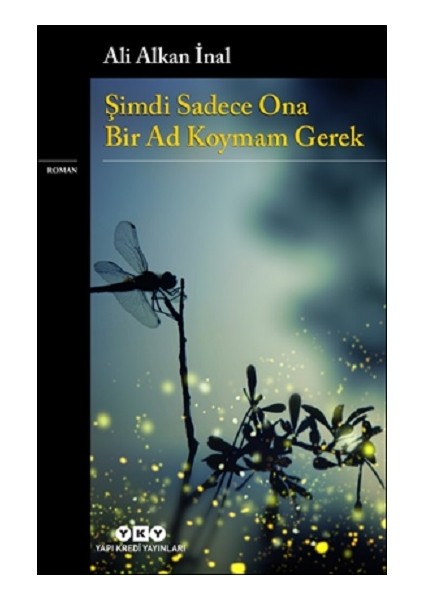 Şimdi Sadece Ona Bir Ad Koymam Gerek