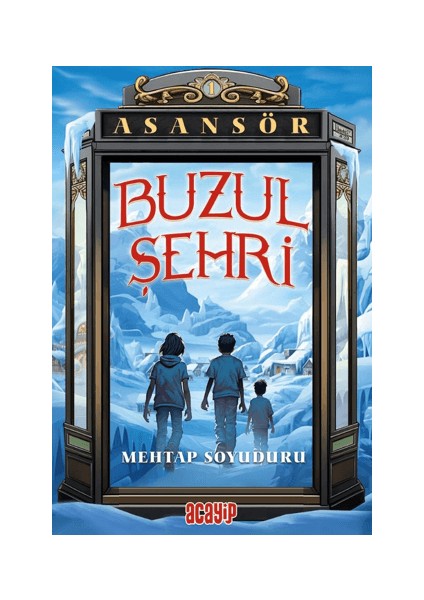 Buzul Şehri;asansör 1