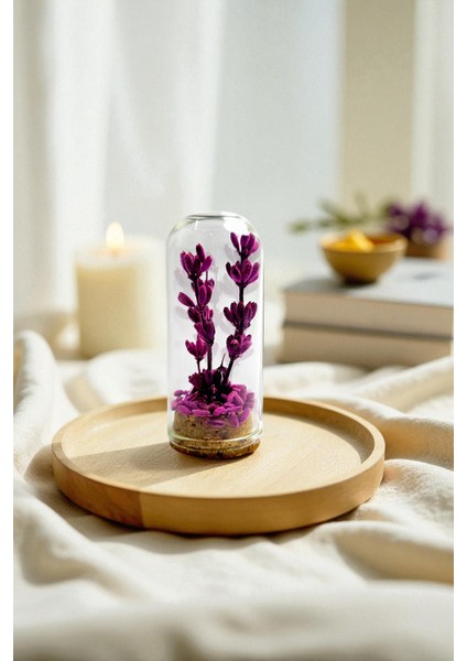 Pisidia Lavanta Kapsülü (Lavanta Taneli Dekoratif Küre) - Doğal Hediye, Dekor, Biblo