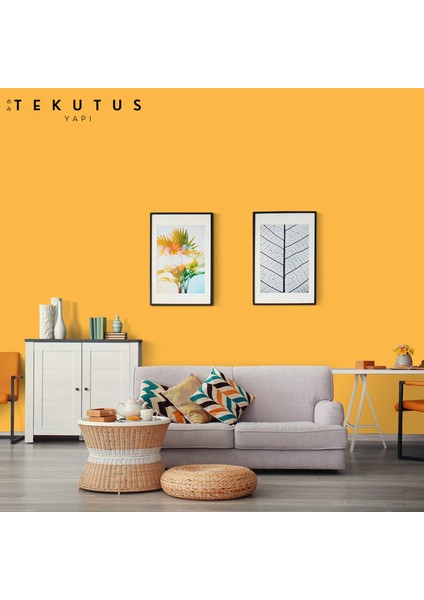 Momento Silan Silikonlu Iç Cephe Boyası 15 L Bal Arısı modelleri