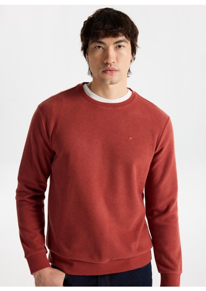 Bisiklet Yaka Kiremit Erkek Sweatshırt M4WM-SWT-1559