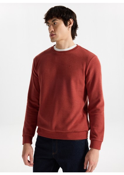 Bisiklet Yaka Kiremit Erkek Sweatshırt M4WM-SWT-1559 modelleri