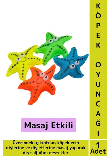 Evcil Hayvan Köpek Diş Temizliği Kaşıma Masaj Etkili Ilgi Çekici Denizyıldızı Figür Çiğneme Oyuncağı