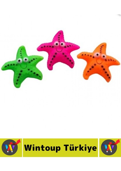 Evcil Hayvan Köpek Diş Temizliği Kaşıma Masaj Etkili Ilgi Çekici Denizyıldızı Figür Çiğneme Oyuncağı fiyatları