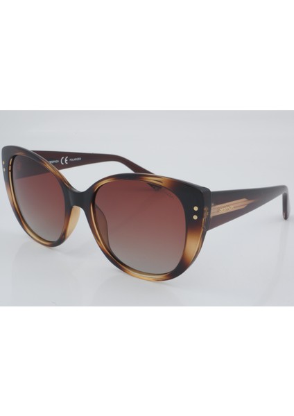 Ds 2006 C2 55 - 01 Güneş Gözlüğü fiyatları