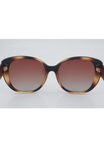 Ds 2006 C2 55 - 01 Güneş Gözlüğü indirimleri