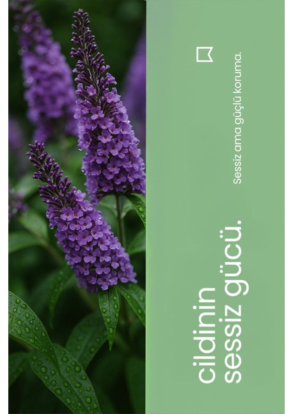 Bariyer Krem fırsatları