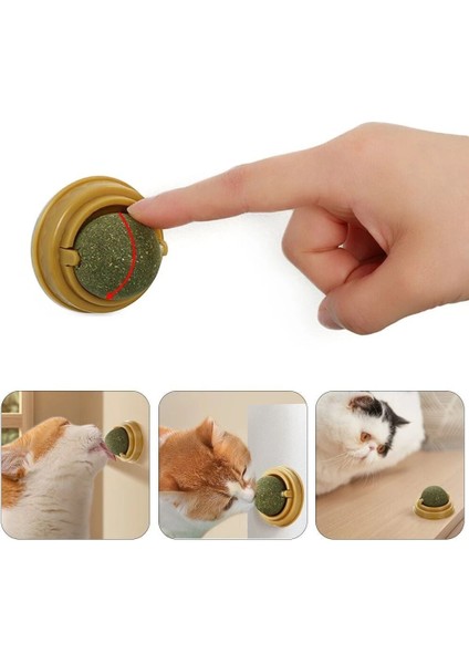 Duvara Yapışan Dönen Kedi Nanesi Cat Oyun Topu Doğal Kedi Oyuncağı fiyatları