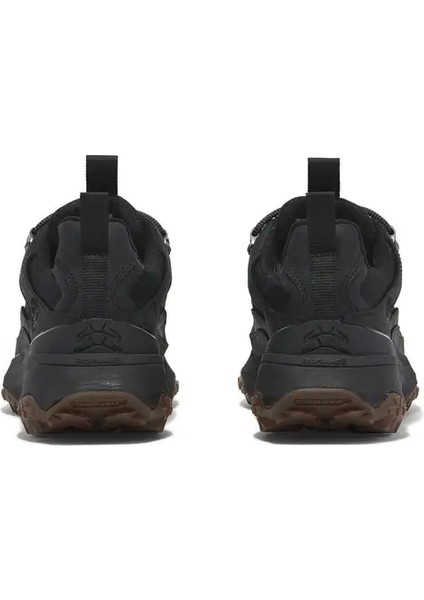 Motion Access Kadın Günlük Ayakkabı - TB0A2N4BEK91 fırsatları