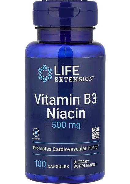 Vitamin B3 Niacin 500 Mg 100 Capsules