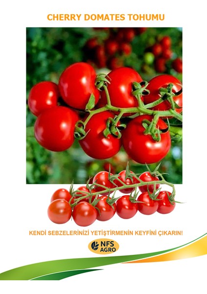 agro cherry domates tohumu