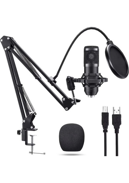 Profesyonel Kondansatör Mikrofon Seti Ayarlanabilir Stand USB Pc Bağlantılı Youtube Karaoke Podcast
