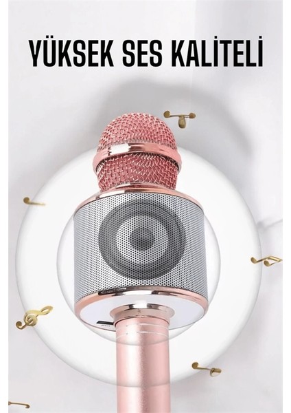 Taşınabilir Bluetooth Karaoke Mikrofon: Hafıza Kart Girişli, Etkileyici Performans fırsatları