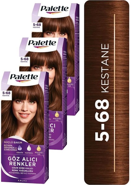 Göz Alıcı Renkler 5-68 Kestane x 3 Adet