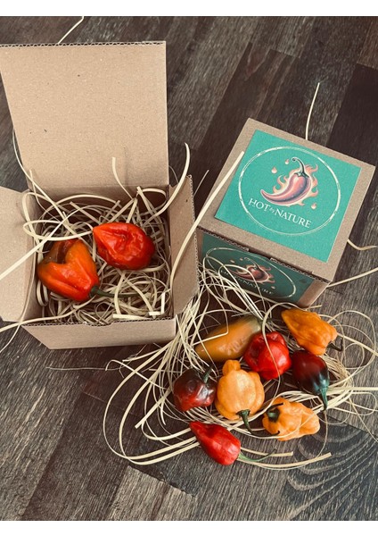 Jamaıcan Red Habanero / 425.000 Scoville - Gerçek Taze Acı Biber