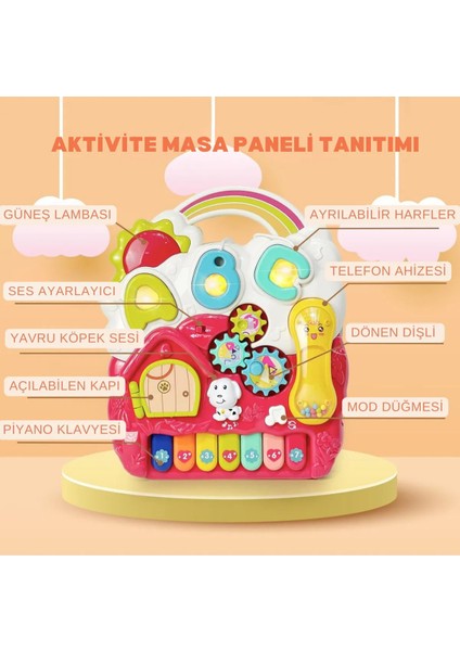 Sesli Işıklı Piyanolu Yürüteç Aktivite Oyun Masası 4 In 1
