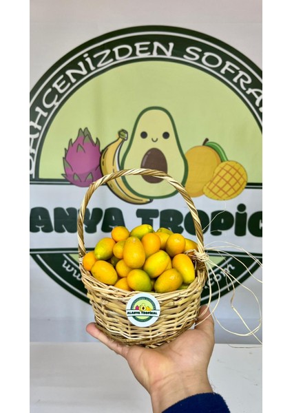 KUMKUAT(500GR) modelleri