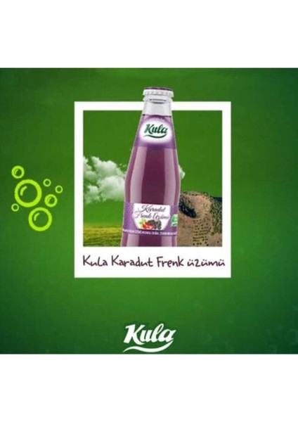 Karadut ve Frenk Üzümlü Aromalı Doğal Mineralli Maden Suyu 200 ml x 24 Cam Şişe (6 x 4’lü Paket) modelleri