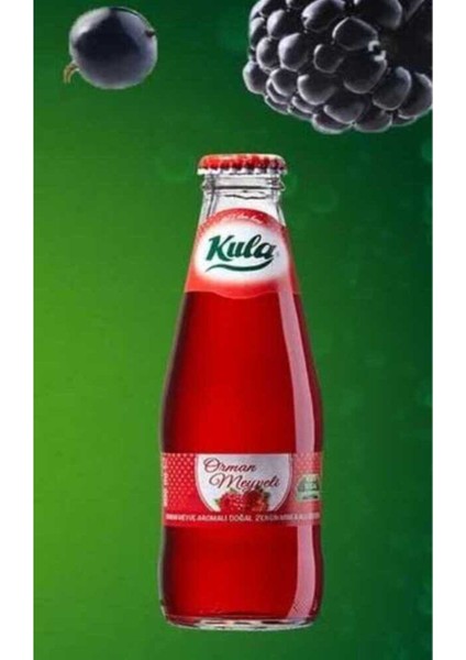 Karadut ve Frenk Üzümlü Aromalı Doğal Mineralli Maden Suyu 200 ml x 24 Cam Şişe (6 x 4’lü Paket)