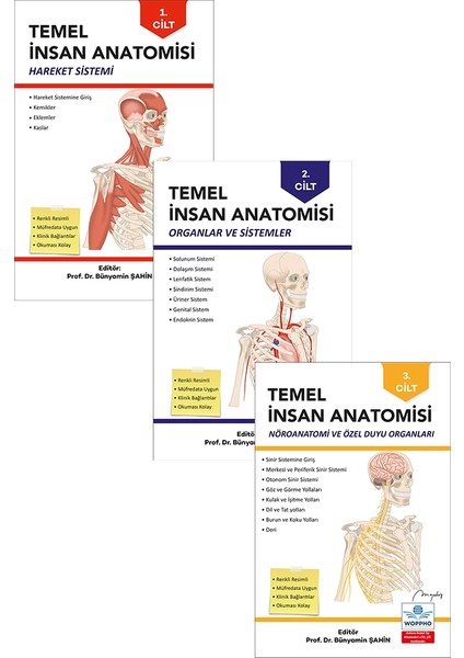 Temel Anatomi Seti 3lü